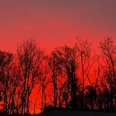 Escucha a 748Rosche, mira vídeos musicales, lee la biografía, consulta fechas de giras y mucho más.