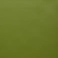 Mahlonを聴いたり、ミュージックビデオを鑑賞したり、経歴やツアー日程などを確認したりしましょう！