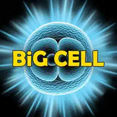 Big Cellを聴いたり、ミュージックビデオを鑑賞したり、経歴やツアー日程などを確認したりしましょう！