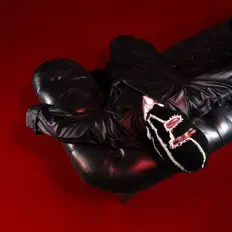 Listen to A$ILE, watch music videos, read bio, see tour dates & more!