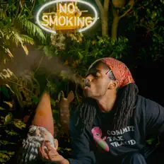 Escucha a The Wicked Lemon, mira videos musicales, lee su biografía, consulta las fechas de las gira y más.