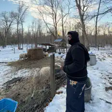 Ascolta GOOD FAITH, guarda video musicali, leggi la biografia, vedi le date del tour & altro!