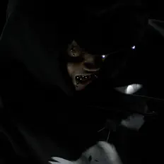 Yung Heirを聴いたり、ミュージックビデオを鑑賞したり、経歴やツアー日程などを確認したりしましょう！