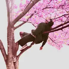 Escucha a Fillahät, mira vídeos musicales, lee la biografía, consulta fechas de giras y mucho más.