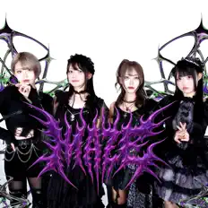 聆聽 MAZE、觀看音樂影片、閱讀小傳、查看巡演日期等！