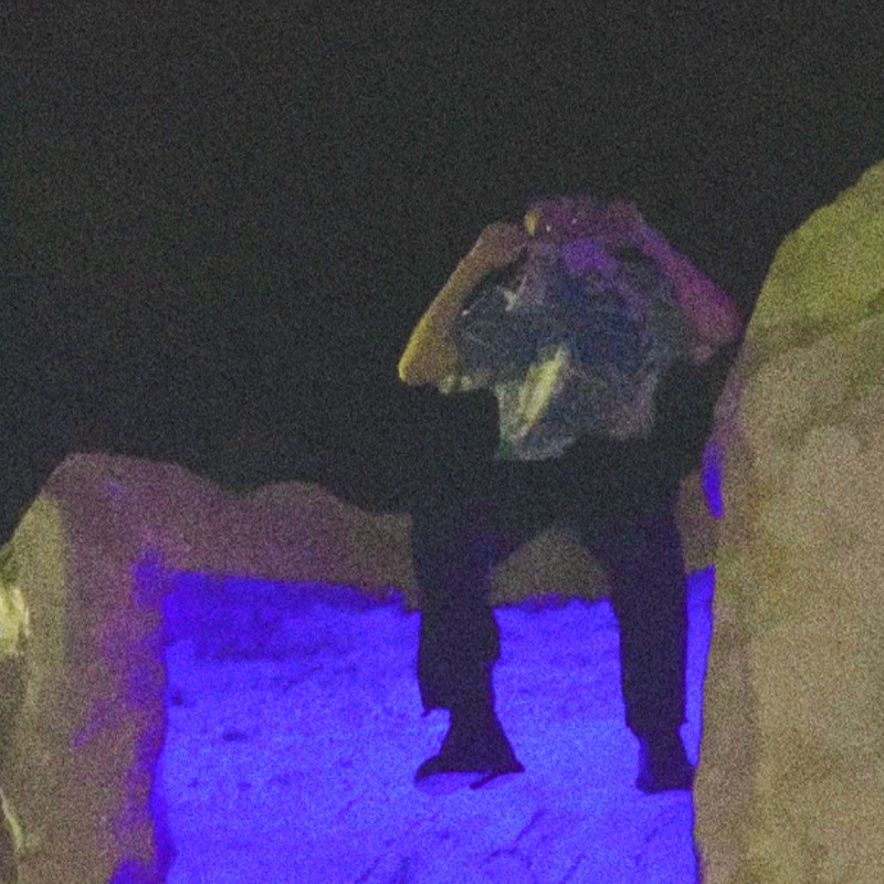 Cal J - downtown hoes!