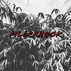 Écoutez Fillerhook, regardez des vidéoclips, lisez la biographie, consultez les dates de tournée et plus encore !