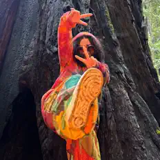 聆聽 S.I.A.T Stuck in a Tree、觀看音樂影片、閱讀小傳、查看巡演日期等！