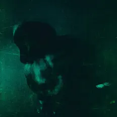 Dengarkan Namani, tonton video musik, baca bio, lihat tanggal tur & lainnya!