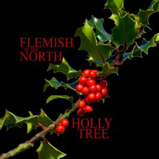 Flemish in the Northを聴いたり、ミュージックビデオを鑑賞したり、経歴やツアー日程などを確認したりしましょう！