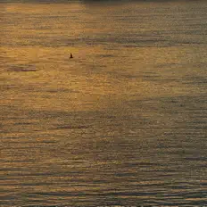 聆聽 HARI、觀看音樂影片、閱讀小傳、查看巡演日期等！