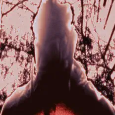 Hör dir Lilac Jun an, schau dir Musikvideos an, lies die Biografie, finde Tourdaten und mehr!