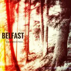Belfastを聴いたり、ミュージックビデオを鑑賞したり、経歴やツアー日程などを確認したりしましょう！