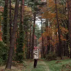 5OWを聴いたり、ミュージックビデオを鑑賞したり、経歴やツアー日程などを確認したりしましょう！