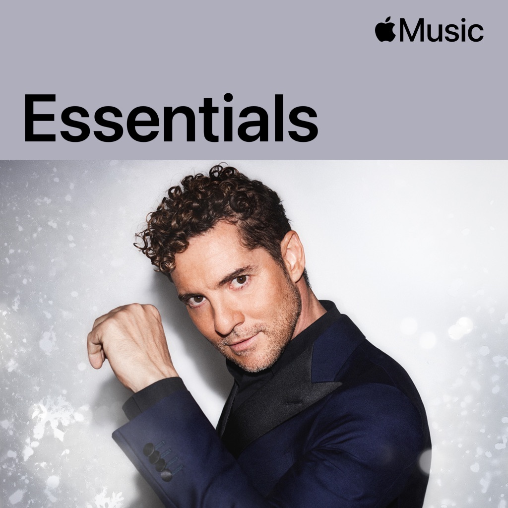 David Bisbal: imprescindibles