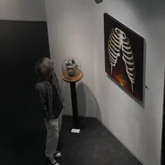 Ouve Baby Smile, vê vídeos de música, lê a biografia, vê as datas da digressão e muito mais!