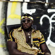 聆聽 FeVaOG、觀看音樂影片、閱讀小傳、查看巡演日期等！