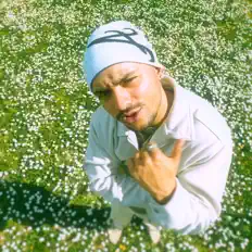 Nessoを聴いたり、ミュージックビデオを鑑賞したり、経歴やツアー日程などを確認したりしましょう！