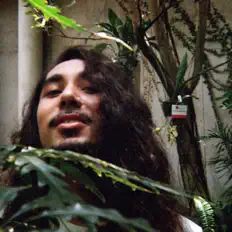 Escucha a Rey Santoya, mira vídeos musicales, lee la biografía, consulta fechas de giras y mucho más.