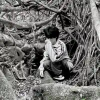 Ακούστε περιεχόμενο από undefined, παρακολουθήστε μουσικά βίντεο, διαβάστε το βιογραφικό, δείτε ημερομηνίες περιοδείας, και πολλά ακόμη!