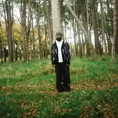 Brand Junoを聴いたり、ミュージックビデオを鑑賞したり、経歴やツアー日程などを確認したりしましょう！