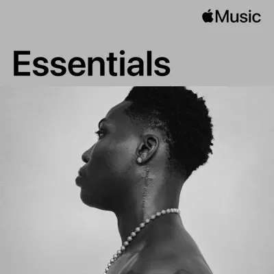 Reekado Banks adlı sanatçının yer aldığı  Reekado Banks Essentials çalma listesini dinle