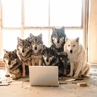 Dengarkan undefined, tonton video musik, baca bio, lihat tanggal tur & lainnya!