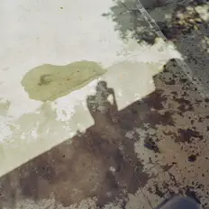 Escucha a Chill Horse, mira vídeos musicales, lee la biografía, consulta fechas de giras y mucho más.