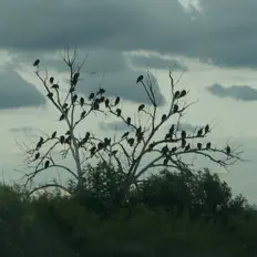 Lydia Lizaを聴いたり、ミュージックビデオを鑑賞したり、経歴やツアー日程などを確認したりしましょう！