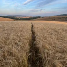 Ascolta jollypostboy, guarda video musicali, leggi la biografia, vedi le date del tour & altro!