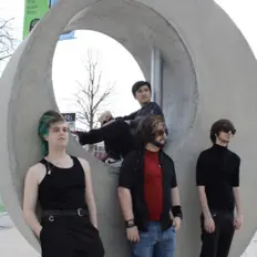 The Forest for the Fireを聴いたり、ミュージックビデオを鑑賞したり、経歴やツアー日程などを確認したりしましょう！