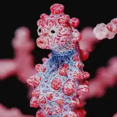 Écoutez katora, regardez des vidéoclips, lisez la biographie, consultez les dates de tournée et plus encore !