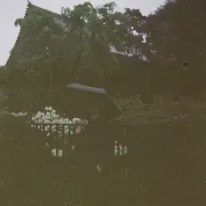 聆聽 Luke Schmitz、觀看音樂影片、閱讀小傳、查看巡演日期等！