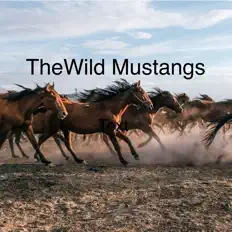收听 The Wild Mustangs、观看音乐视频、阅读小传、查看巡演日期等 ！