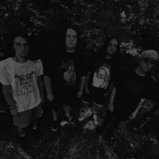 Ascolta Parathion, guarda video musicali, leggi la biografia, vedi le date del tour & altro!