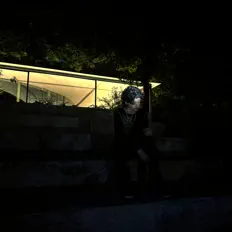 Listen to coletvamp, watch music videos, read bio, see tour dates & more!