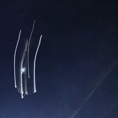 Ethan Ness: песни, клипы, биография, даты выступлений и многое другое.