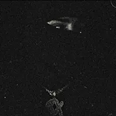 Escucha a 4everloj, mira vídeos musicales, lee la biografía, consulta fechas de giras y mucho más.