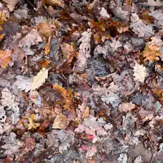 Ouve marvin from moon, vê vídeos de música, lê a biografia, vê as datas da digressão e muito mais!