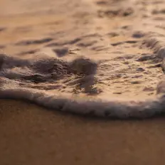 Écoutez Wavy Naps, regardez des vidéoclips, lisez la biographie, consultez les dates de tournée et plus encore !