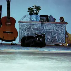 Tiny Little Bugを聴いたり、ミュージックビデオを鑑賞したり、経歴やツアー日程などを確認したりしましょう！