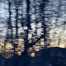 Necessary Weight을(를) 듣고, 뮤직 비디오를 보고, 약력을 읽고, 투어 일정 등을 확인하세요!