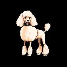 Ακούστε περιεχόμενο από Chamoun, παρακολουθήστε μουσικά βίντεο, διαβάστε το βιογραφικό, δείτε ημερομηνίες περιοδείας, και πολλά ακόμη!