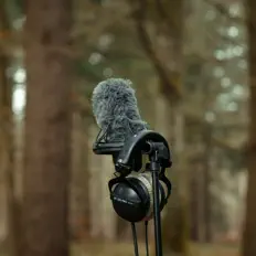 聆聽 Spit! Sessions、觀看音樂影片、閱讀小傳、查看巡演日期等！