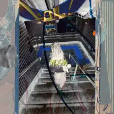 Listen to HOSHi, watch music videos, read bio, see tour dates & more!