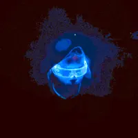 Posłuchaj wykonawcy undefined, obejrzyj teledyski, przeczytaj biografię, zobacz daty tras koncertowych i nie tylko!