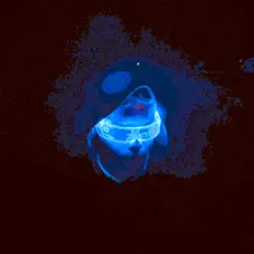 xngelbxss.을(를) 듣고, 뮤직 비디오를 보고, 약력을 읽고, 투어 일정 등을 확인하세요!