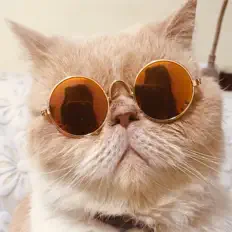 Listen to Soleilx, watch music videos, read bio, see tour dates & more!