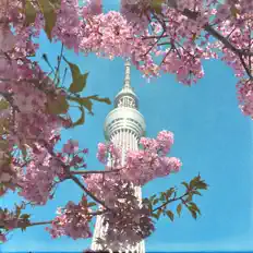 Hör dir L.E.M an, schau dir Musikvideos an, lies die Biografie, finde Tourdaten und mehr!