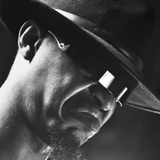 Temuを聴いたり、ミュージックビデオを鑑賞したり、経歴やツアー日程などを確認したりしましょう！